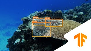 Help Protect the Great Barrier Reef with Machine Learning