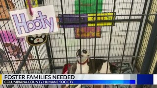 Horses, goats and dogs - oh my!: Columbiana County Humane Society in need of foster families