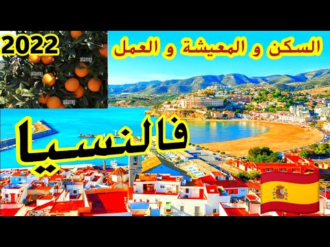 فيديو: تصميم معماري أنيق في سيدني ، أستراليا