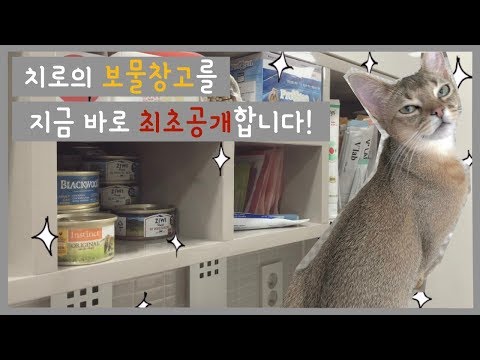 고양이간식/고양이사료/고양이 영양제 모두 공개!