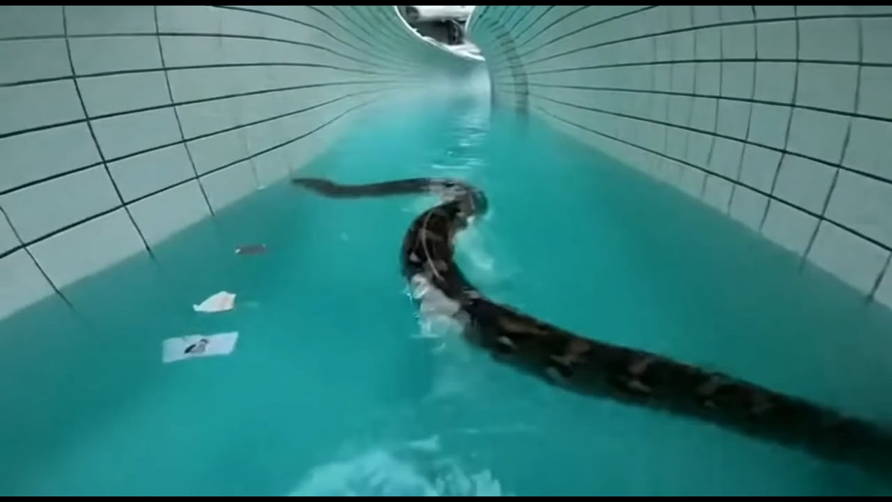 The Backrooms - The Dark Water Nightmare | Found footage #3