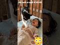 “A Crying Baby… Then a Cat Did THIS 🐾❤️ (Unbelievable Moment)”