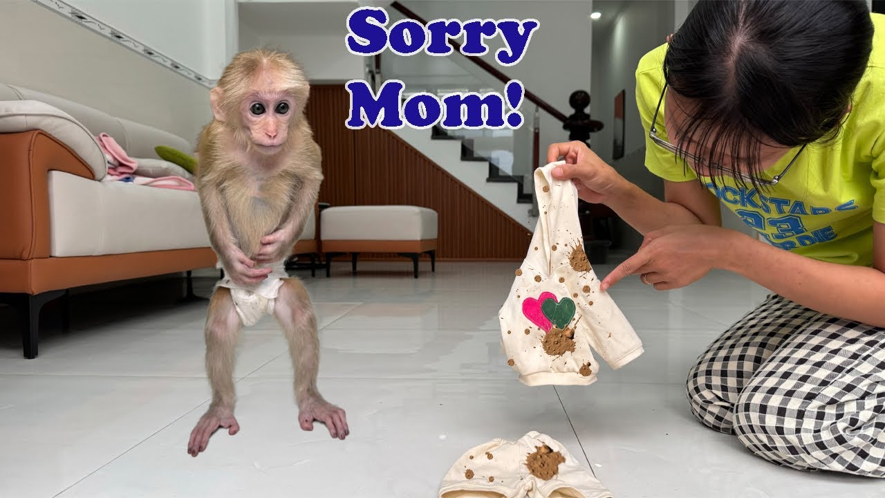 Lucky's naughtiness really annoyed her mother when she got her brand new outfit dirty