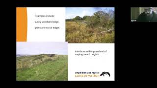Managing your mini-meadow for reptiles and amphibians