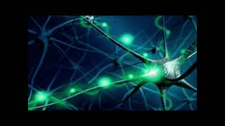 Bdnf Brain-Derived Neurotrophic Factor Patreon By Sm.