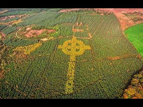 A Giant Celtic Cross Mysteriously Appeared In An Irish Forest, And How It Got There Is Awesome