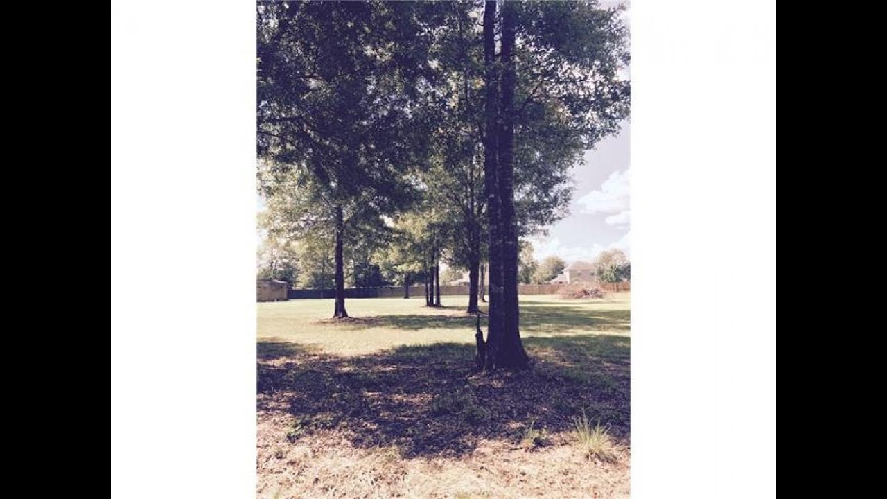 Property for sale MARTIN Lane, Tickfaw, LA 70466 YouTube