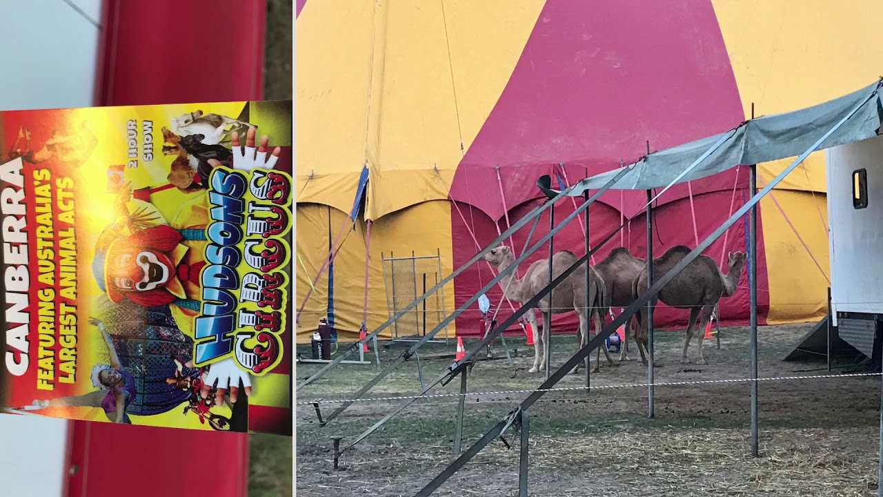 Hudson Circus 🎪 24/04/19