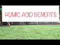 HUMIC ACID BENEFITS | HUMIC ACID DG | MILORGANITE UPDATE (2018)