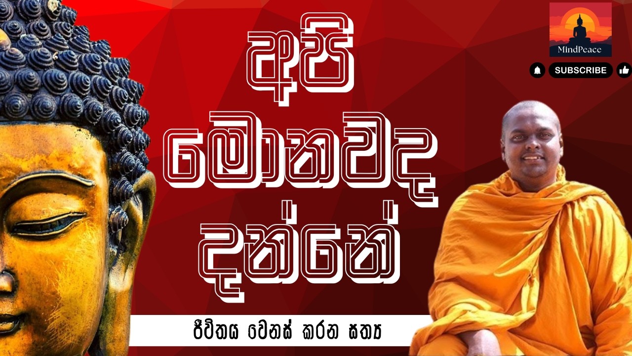 අපි මොනවද දන්නේ? 🤔 | Api danne monawada ? | What Do We Really Know?