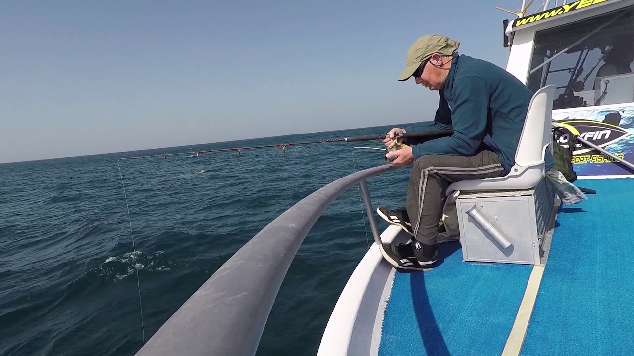 yellowfin Fuerteventura.mp4