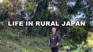 Life On A Remote Japanese Island Honeybee Swarm & Quiet Family Life