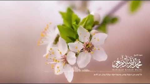 تلاوة جميلة للقارئ الجزائري محمد إرشاد مربعي برواية ورش عن نافع. …