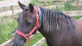 L Bella L Split L Hoe Zo Veel Van Jullie L