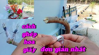 cách ghép hoa giấy rất đơn giản