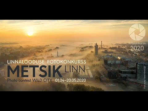 Video: Neoonküüned - 2019. Aasta Suve Lipulaev Ja Värvikas Trend