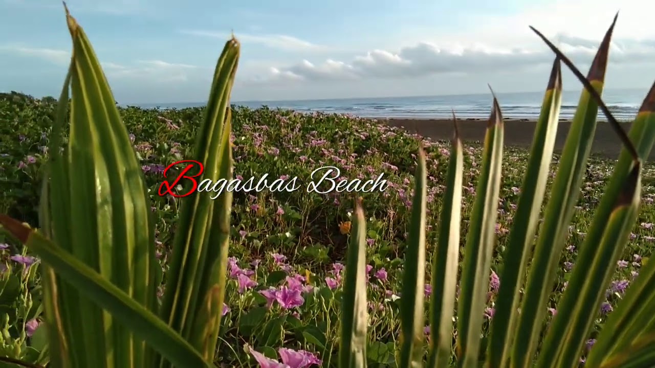 10 SECONDS VIDEO CLIP