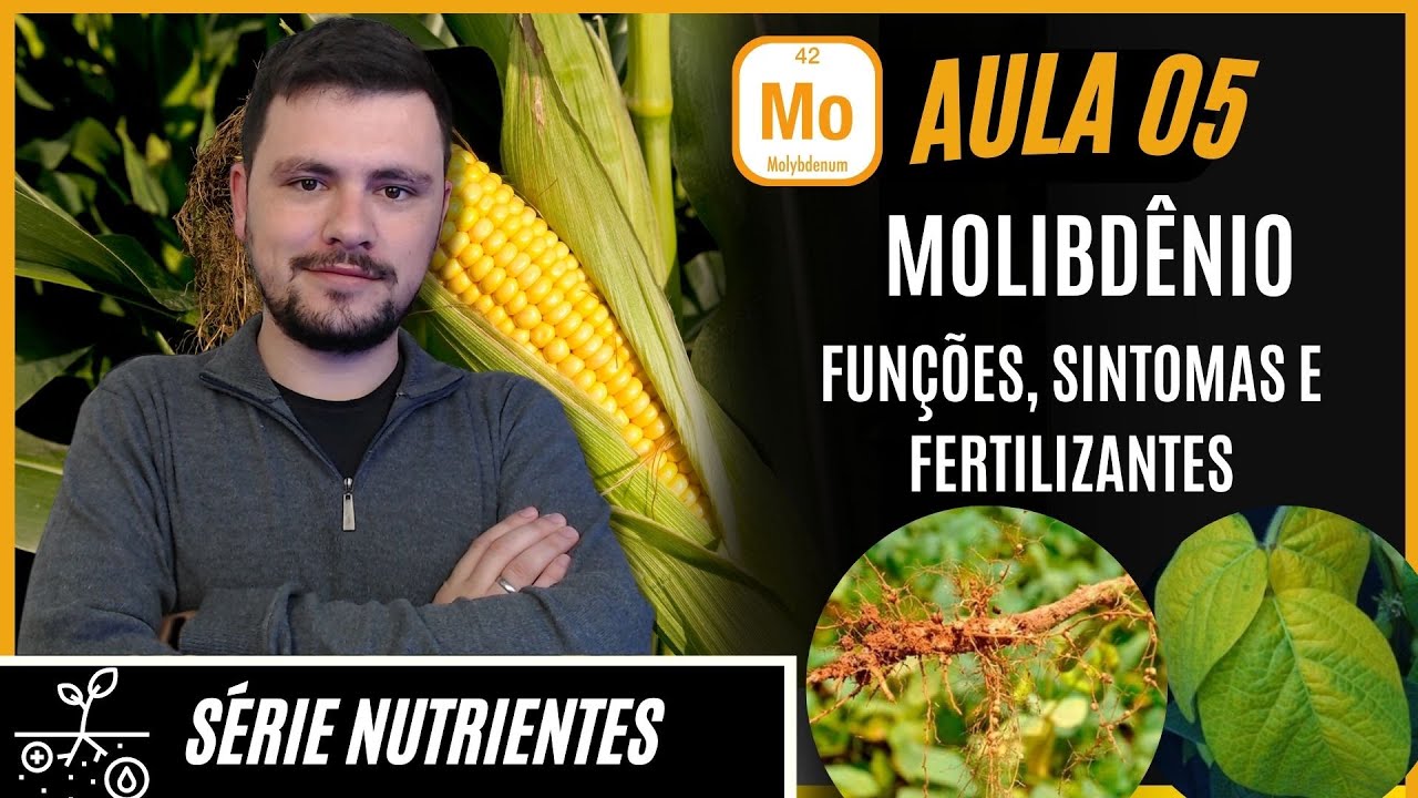 SÉRIE NUTRIENTES: MOLIBDÊNIO funções, sintomas de deficiência e fertilizantes para correção