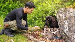 A Peaceful Day on the Farm: Bathing Cute Puppies, Caring for Animals and Cooking Country Food screenshot 5