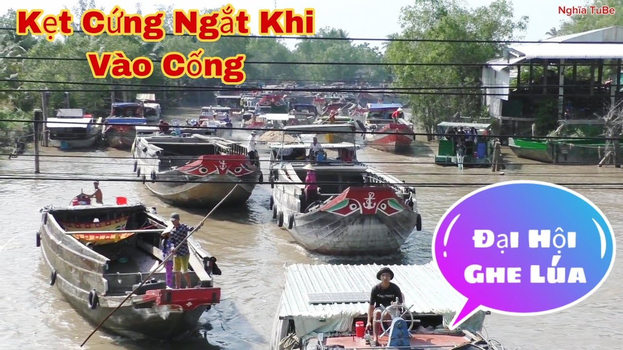 Đại Hội.Sà Lan Ghe Lúa Tranh Nhau Vô Cống Như Phim Hành động - YouTube