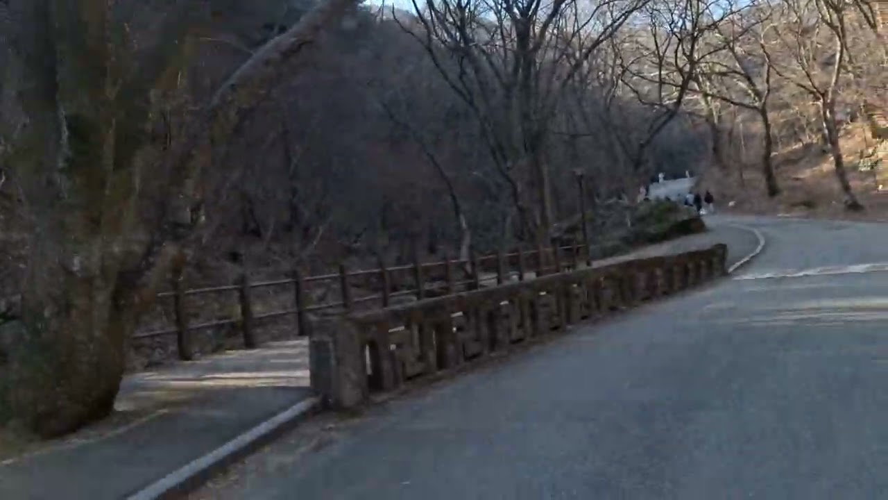 1.계룡산. 동학사. 