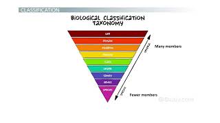 DDBiology Chapter 1 week 1