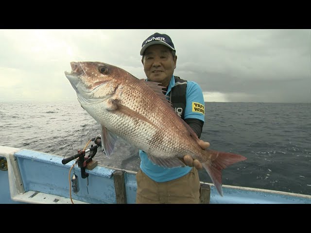 ダイワ HZインターライン剣崎T HZインターライン海峡 伊勢湾真鯛攻めTX