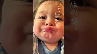 子供3人連れての新幹線はカオスすぎた…笑#おすすめ #サンバ夫婦 #子連れ旅行 #新幹線