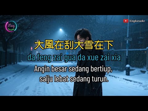 Da feng zai gua da xue zai xia 大風在刮大雪在下  ,  王一佳  Wang Yi Jia #動態歌詞Pinyin Lyrics