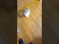元気なあいさつ
