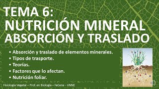 TEMA 6: Nutrición mineral: absorción y traslado. Fisiología Vegetal- Prof. en Biología- FaCENA- UNNE