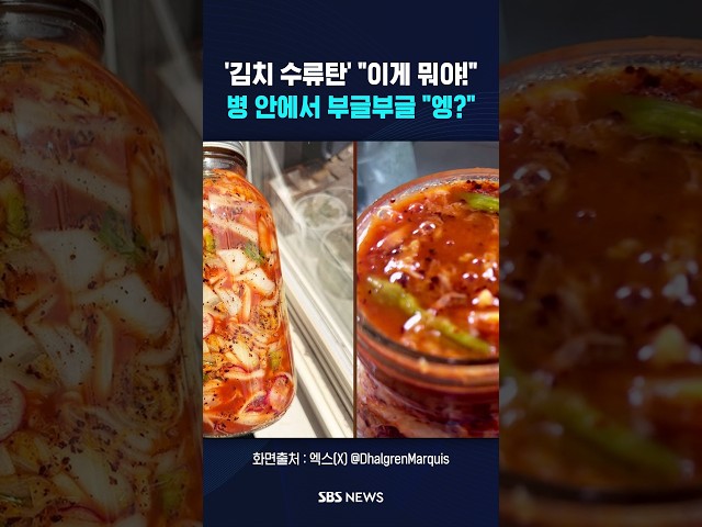스파클링 김치?..부글부글 "이게 뭐야" #shorts