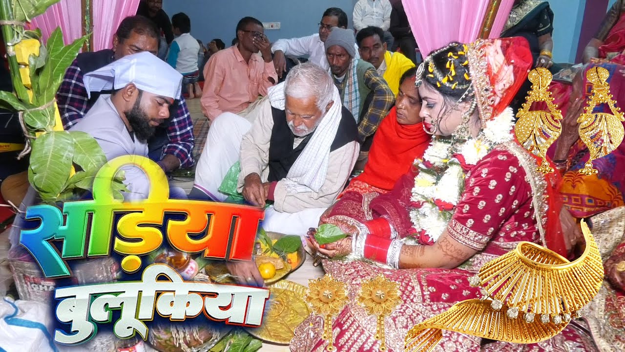 सड़िया बुलूकिया 