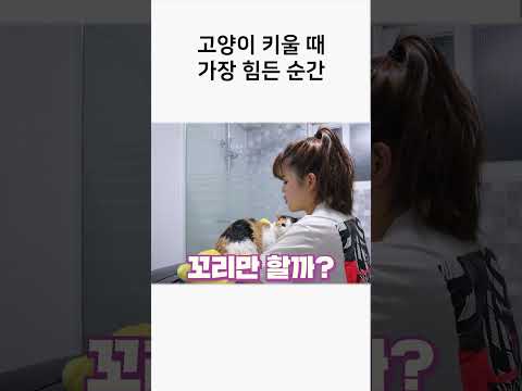 <strong>고양이</strong> 키울 때 가장 힘든 <strong>순간</strong>