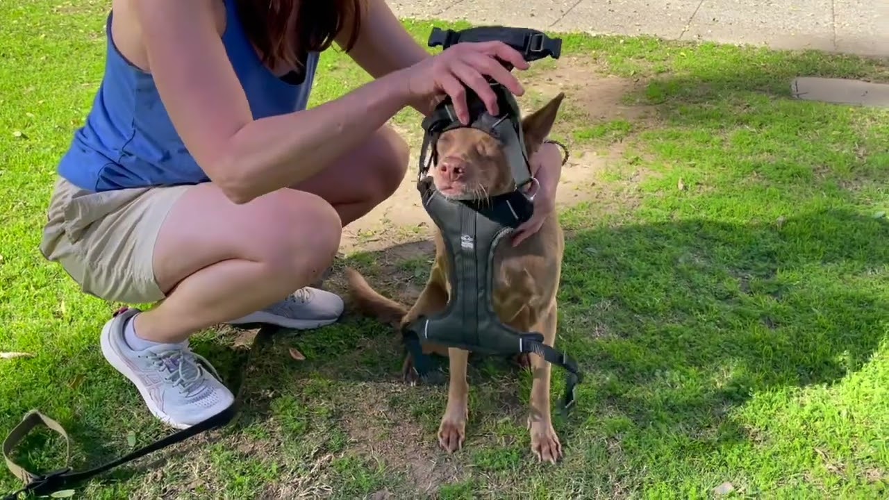 How to fit your DUO harness — part 2