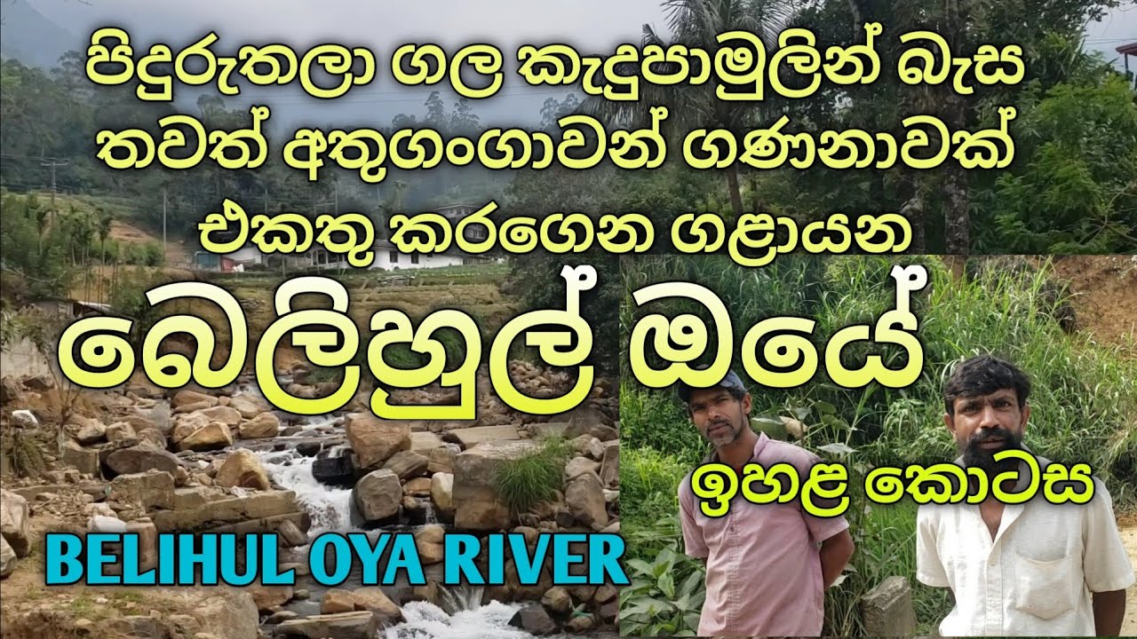 බෙලිහුල්ඔය 👉 Belihul Oya River.