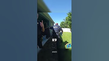 K9 Dog Found The Missing Kid (@News6WKMG)