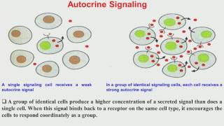 Lec21 Cell material interaction