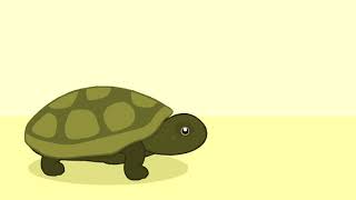 Turtle Hiding In Shell