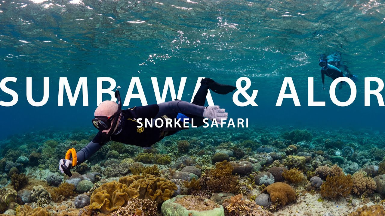 Sumbawa & Alor Snorkel Safari