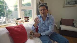Como Alimentar A Gatitos Huérfanos O Abandonados - Lactol Kitten Milk