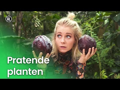 Video: Waar praten planten over?