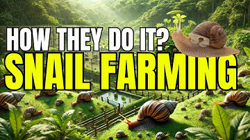 Snail Farming for Beginners: Step-by-Step Guide to Start Your Snail Business