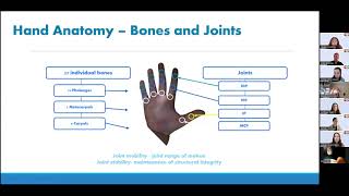 Handwriting Strategies by OT ECHO Mentorship