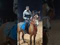 ھاذہ خیل اجی الیوم جدید شوف کیف ارقب 🐎🐎🐎#خیل #saudiarabia2026 #عربیخیل #بزورہ