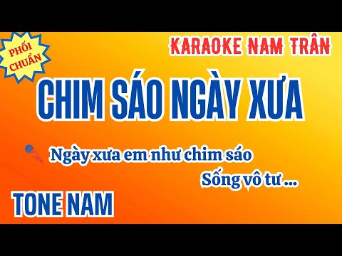 Karaoke Chim Sáo