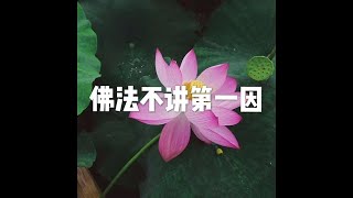 201805 佛法不讲第一因25537