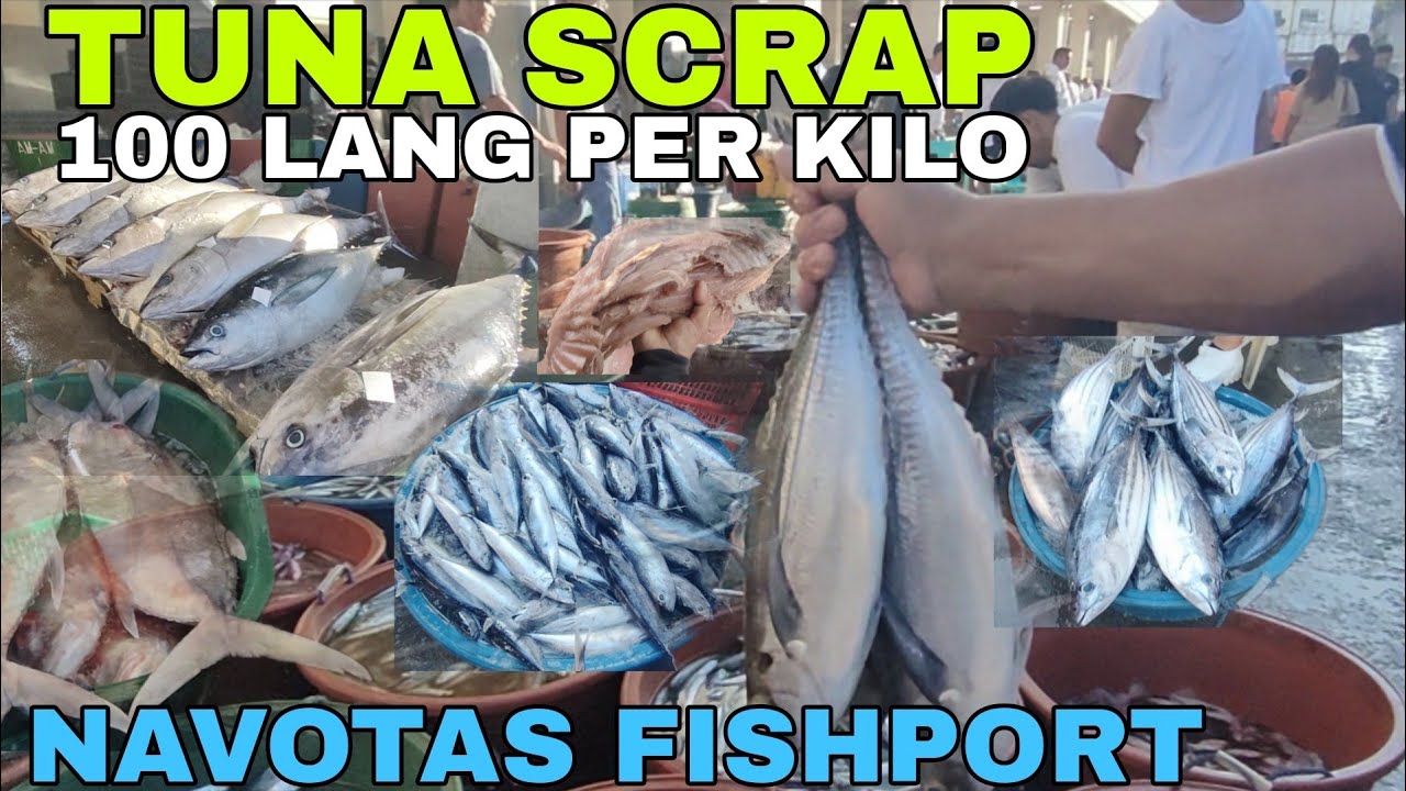 EPS 182 TUNA SCRAP 100 LANG PER KILO|NAVOTAS FISHPORT