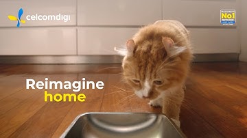 CelcomDigi Fibre : Worry-Free Holiday