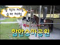 경남 함안 아이들과 가볼만한 곳